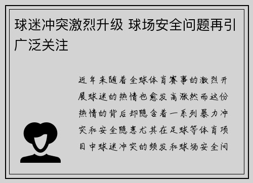 球迷冲突激烈升级 球场安全问题再引广泛关注